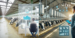 LactaAI targets Rs 28 crore annual gains for dairies