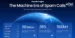 India Ranks 5th Globally in Spam Calls, Truecaller Flags 68 Billion Unwanted Calls