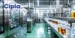 Cipla Q4 Net Profit Slumps 54% to Rs 555 Crore; Announces Rs 13 Final Dividend