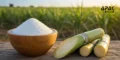 Centre Govt Bans Sugar Exports till September 2026 to Stabilise Domestic Prices