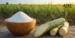 Centre Govt Bans Sugar Exports till September 2026 to Stabilise Domestic Prices