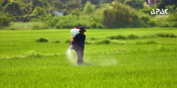 Kharif Fertilizer Availability Above 51% in India, Stocks at 200 LMT: Govt