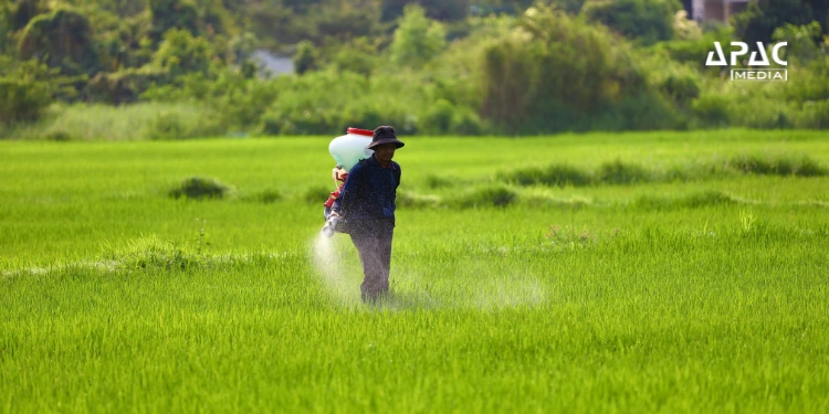 Kharif Fertilizer Availability Above 51% in India, Stocks at 200 LMT: Govt