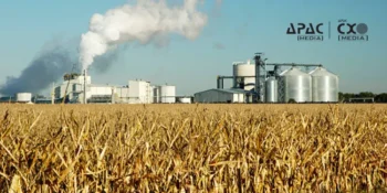 E25 Ethanol Petrol Rollout Likely in Phases Amid E20 Fuel Concerns: Report