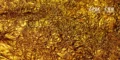 Gold Rate Today, (Sep 16): Check City-wise 24K, 22K Gold & 999 Silver Prices Amid West Asia Tensions