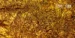 Gold Rate Today, (Sep 16): Check City-wise 24K, 22K Gold & 999 Silver Prices Amid West Asia Tensions