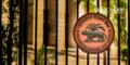 RBI New FD Rules: What Depositors Need to Know from Oct 1; Check Details?