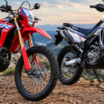 Honda XR300L And XR300 Rally Launch In India: Prices And Key Details