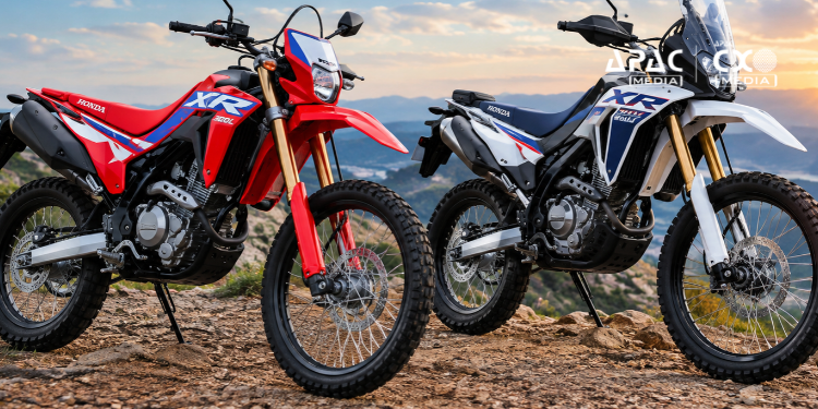 Honda XR300L And XR300 Rally Launch In India: Prices And Key Details